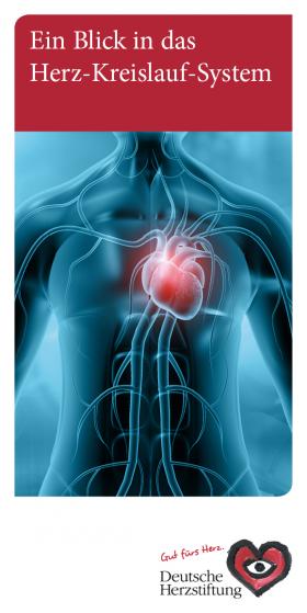Titelbild Ein Blick in das Herz-Kreislauf-System