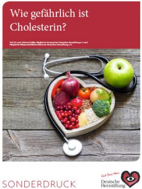 Titelbild Wie gefährlich ist Cholesterin (2021)